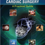 Minimally Invasive Cardiac Surgery A Practical Guide A Practical Guide