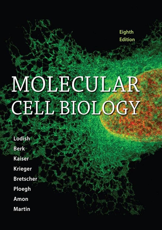 Molecular Cell Biology 8e (ie) Molecular Cell Biology 8e (ie) - Image 1